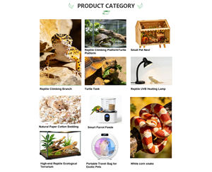 Aquarium de bureau créatif et écologique pour poissons Betta, avec combinaison de poissons et de méduses Moonlight, multi-compartiments, du fabricant d'origine - Product Image 6