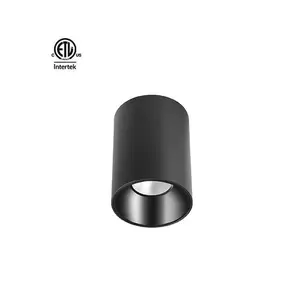 Daytonled ETL cETL 마스터 B 라운드 스퀘어 시리즈 8W 15W 20W 25W 30W 40W 50W 55W 펜던트 표면 북미 led 다운 라이트