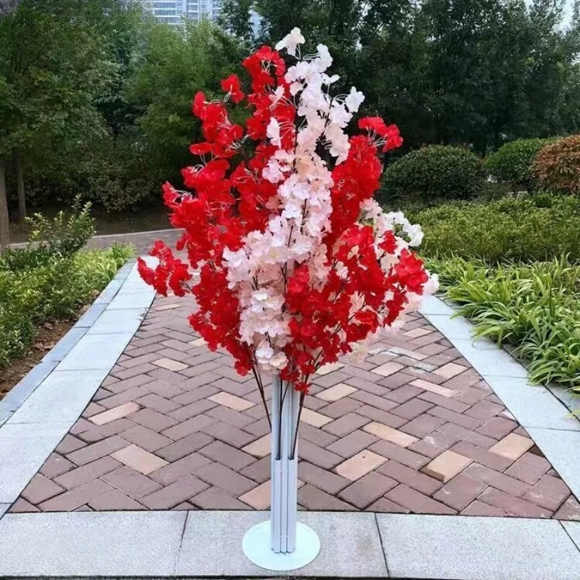 Champagne rouge