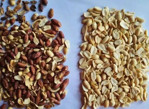 Penyortir warna 13 saluran 128-768 penyortir bentuk kompresor 45KW - Product Image 4