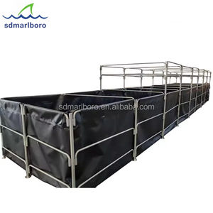 Peralatan sistem pertanian ikan tangki pertanian ikan di aquaponik rumah kaca komersial RAS aquaponik sistem - Product Image 4