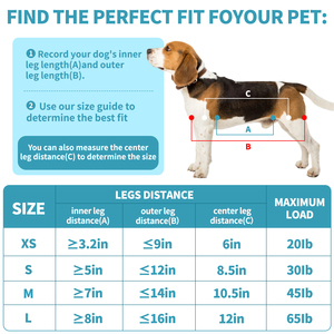 Kit Amaca per Toelettatura Cani Senza Stress, Imbracatura Sicura per Taglio Unghie, Cinghie Regolabili, Cura Veterinaria Domestica - Product Image 2