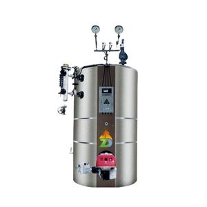 Generador de Vapor de Gas Natural, Petróleo y Diésel de 500l y 1000l, Equipo para la Elaboración de Cerveza - Product Image 1