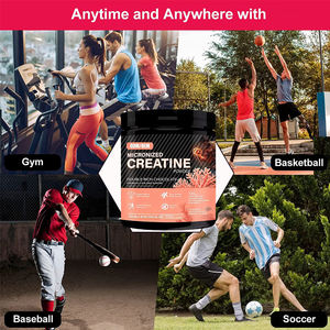 Créatine en poudre OEM ODM personnalisée sous marque privée, absorption rapide, énergie cérébrale, amélioration des performances, supplément nutritionnel pour la forme physique - Product Image 4
