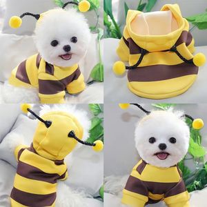 Vêtements pour petits chiens : Sweat à capuche motif abeille pour Teddy, Schnauzer, <span class=keywords><strong>Beagle</strong></span>, Pomeranian - Product Image 2