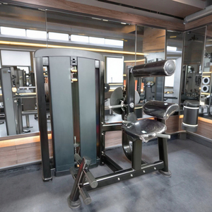 Cơ bụng căng phòng tập thể dục tập thể dục thiết bị thấp hơn trở lại mở rộng máy băng ghế dự bị & Rack loạt - Product Image 4