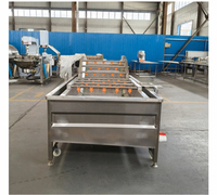 Groentewaslijn met bubbelsysteem, industriële fruit- en groentewasser
