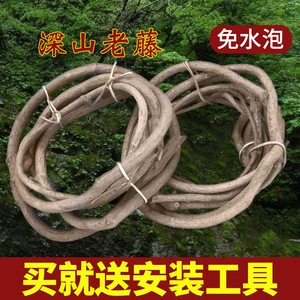 เถาวัลย์ไม้แห้งธรรมชาติสำหรับตกแต่งงานแต่งงาน ขนาด 10 ซม. ลงไปขึ้นไป - Product Image 5