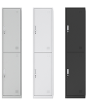Armoire de rangement moderne en acier à 2 portes verticales avec miroir, portes verrouillables, penderie et étagères pour appartement et chambre