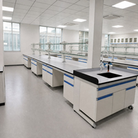 Banc de laboratoire en métal à cadre en C SCEELAB moderne avec plateau en résine phénolique solide, durable pour l'utilisation en milieu hospitalier et en laboratoire chimique