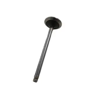 Machinery exhaust valve manufacturer ISG Exhaust Valve 3697156 for Foton Diesel Engine Parts