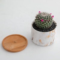 Pots de plantes à motifs de marbre nordique, jardinière succulente, Pot de fleurs en céramique, vente en gros