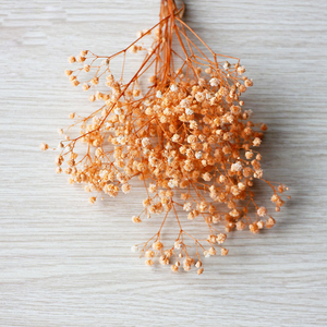 Softdream - Decoración al por Mayor, Flores Secas, <span class=keywords><strong>Ramo</strong></span> de Gypsophila Preservada, Flores Secas Preservadas, Baby's Breath para Decoración - Product Image 4