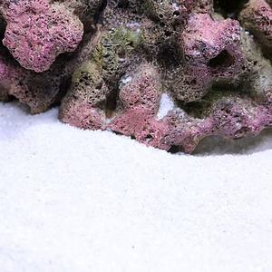 Natuurlijke <span class=keywords><strong>Bulk</strong></span> Verpletterd Koraalsubstraat Voor <span class=keywords><strong>Aquarium</strong></span>, Filtermedia & Decoratieve Rots Voor Zoutwater Zoetwatertank - Product Image 4