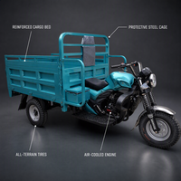 Tricycle cargo motorisé à trois roues, moteur à essence 200cc refroidi par air, carrosserie ouverte pour adultes, capacité de charge de 1200-1500 kg