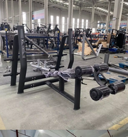 Machine à presser les pectoraux inversée à charges guidées, banc de musculation incliné, équipement de fitness pour la partie inférieure des pectoraux, usage commercial en salle de sport