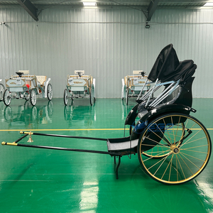 Charrette à <span class=keywords><strong>chevaux</strong></span> à 2 roues <span class=keywords><strong>de</strong></span> haute qualité, simple et compétitive, pour courses <span class=keywords><strong>de</strong></span> <span class=keywords><strong>chevaux</strong></span> <span class=keywords><strong>de</strong></span> traction, transport spécial - Product Image 5