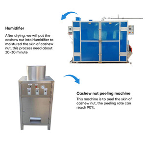Línea de Procesamiento de Anacardos Tostados Totalmente Automática Gashili, 1 Año de Garantía, Separación de Cáscaras de Anacardos, Envasado al Vacío para Plantas de Procesamiento de Frutos Secos - Product Image 5