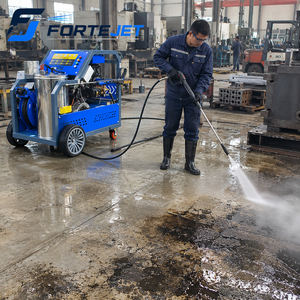 Idropulitrice ad Alta Pressione 250 Bar, Lavatrice Industriale ad Acqua Calda, 18L/min, 10kW, Macchina per Pulizia a Benzina - Product Image 2