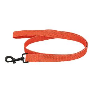 Venta caliente 1 ''Collar de perro reflectante de nailon naranja de alta calidad y correa con patrón impreso y cintas decorativas - Product Image 2