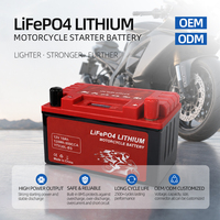 Batterie de démarrage pour moto OEM ODM 12V 10Ah LiFePO4 avec BMS intégré et indicateur de niveau de batterie, 2000+ cycles