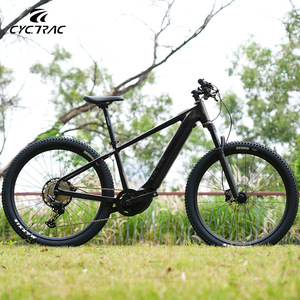 <span class=keywords><strong>Bicicleta</strong></span> Eléctrica <span class=keywords><strong>de</strong></span> Montaña con Llantas Gruesas, 12 Velocidades, 48V 15Ah, Inalámbrica, 500W, Sensor <span class=keywords><strong>de</strong></span> Torque, con <span class=keywords><strong>Horquilla</strong></span> ROCKSHOX - Product Image 5