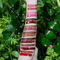 Kit de lèvres nude à étiquette privée, kit de gloss à lèvres personnalisé, imperméable