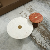 Mesa de Centro Contemporánea para el Hogar, Mesa de Centro Moderna para Sofá, Decoración de Interiores para Villa, Mesa de Té Multifuncional