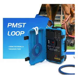 Máquina de fisioterapia para el cuidado de la salud de los caballos, dispositivo PEMF portátil PMST LOOP para aliviar el dolor y reparar los huesos, máquina Magneto