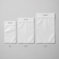Pochette d'emballage refermable pour vêtements avec logo doré, poignée découpée, fermeture éclair, en CPE mat, OPP, PE, PP