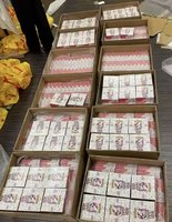 Boîte de boosters scellée pour cartes TCG japonaises SV2a, 151 cartes, pour jeu