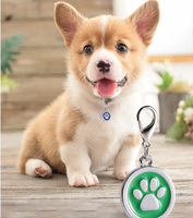 Mini-étiquette intelligente RFID NFC 13,56 MHz en PVC, carte de visite, code QR, contrôle d'accès sans contact, porte-clés, puce NFC216 étanche ISO pour animaux de compagnie