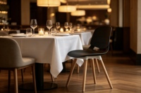 Chaise de salle à manger moderne en plastique légère et portable avec accoudoirs et dossier ergonomique, empilable, imperméable, pour la maison, le bureau et l'école