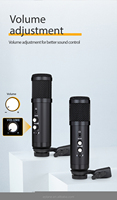 Ensemble de microphones à condensateur Lane BM-200pq, microphone filaire USB pour ordinateur, pour l'enregistrement, la diffusion et les conférences