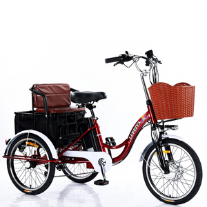 <span class=keywords><strong>Triciclo</strong></span> Eléctrico <span class=keywords><strong>de</strong></span> 20 Pulgadas y 7 Velocidades con Carrocerí<span class=keywords><strong>a</strong></span> Abierta para Adultos, <span class=keywords><strong>Triciclo</strong></span> <span class=keywords><strong>de</strong></span> <span class=keywords><strong>Carga</strong></span> <span class=keywords><strong>a</strong></span> <span class=keywords><strong>Pedal</strong></span> para Personas Mayores, Disponible al por Mayor - Product Image 4