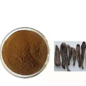 ISO Certificate 100% Natural Leech Extract Powder Hirudin Powder