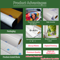 Autocollants en vinyle PVC brillant auto-adhésif pour le matériel d'impression de machine de découpe de traceur éco-solvant extérieur
