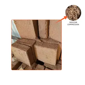 矩形砖椰子砖纤维cococopeat用于植物土壤改良在中国的最佳价格