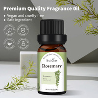 Diffuseur d'arômes portable en verre de haute qualité, huile essentielle d'aromathérapie, diffuseur d'arômes unique, parfums uniques, emballage individuel