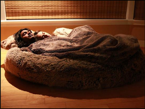 Alta calidad XXXL Extra grande Jumbo perro cama Donut moda sólido felpa invierno calmante muebles para gatos verano Dropshipping - Product Image 5