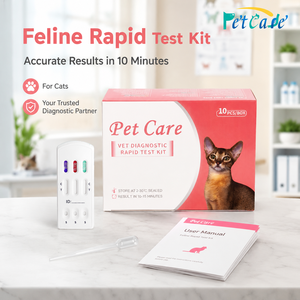 Kit de test <span class=keywords><strong>FIPV</strong></span>, test FIP, carte de détection de la péritonitite infectieuse féline, <span class=keywords><strong>FIPV</strong></span> pour chats - Product Image 3