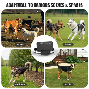 Precio de fábrica subterránea cerca del perro con collares eléctricos ocultos perro esgrima sistema inalámbrico - Product Image 5