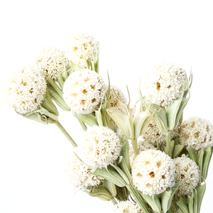 Lulutong ventes directes nouveau Style chinois bricolage Arrangement de fleurs matériaux <span class=keywords><strong>Bouquet</strong></span> de fleurs séchées pour la fête des mères - Product Image 5