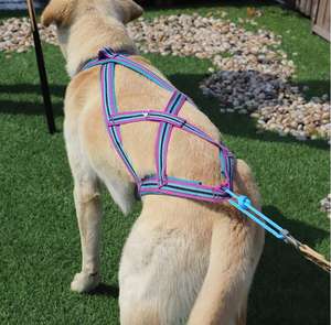 PVCマッシング<span class=keywords><strong>X</strong></span>バックハーネス犬用パッド入りペットそりスキージョーリングスクータートレーニングエクササイズ作業犬の引っ張り用ハーネス - Product Image 3