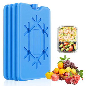 Mattonella di Ghiaccio in Plastica Rigida Riutilizzabile di Alta Qualità, Design OEM per Conservazione Alimenti e Raffreddamento - Product Image 1