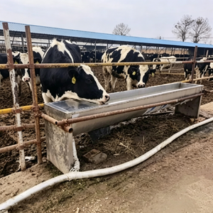 <span class=keywords><strong>Abreuvoir</strong></span> en métal durable pour bétail, <span class=keywords><strong>vache</strong></span>, mouton, cheval, avec flotteur, <span class=keywords><strong>abreuvoir</strong></span> automatique, équipement d'élevage - Product Image 6
