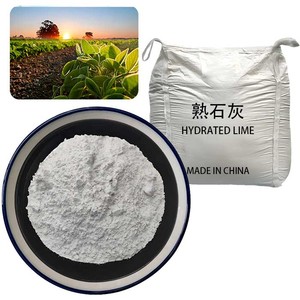 Poudre de chaux hydratée à faible teneur en <span class=keywords><strong>métaux</strong></span> lourds pour les applications dans l'industrie des additifs alimentaires et de la transformation alimentaire - Product Image 3