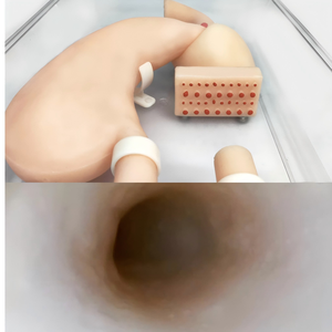 Mannequin d'entraînement ERCP Medical Science Modèle d'opération gastroscopique Marque OEM de CN ZHE pour les écoles d'infirmières et les hôpitaux - Product Image 2