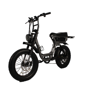 48V TO-LANDS 250W/500W/750W/1000W bicicleta eléctrica de neumáticos gruesos montaña ciudad Dirt <span class=keywords><strong>Cruiser</strong></span> carga eléctrica <span class=keywords><strong>EBike</strong></span> - Product Image 6