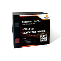 Batería de Litio LiFePO4 de 12V 310Ah 620Ah, Batería de Ciclo Profundo con Carcasa Metálica para RV, Energía Solar, Marina